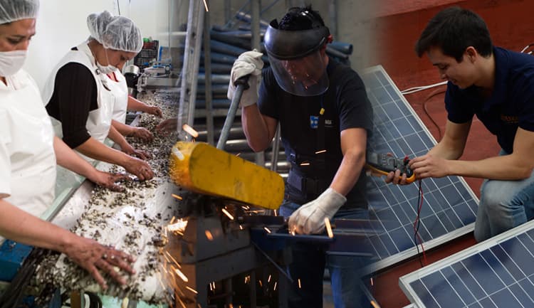 Trabajadores industriales clasificando y procesando materiales en planta